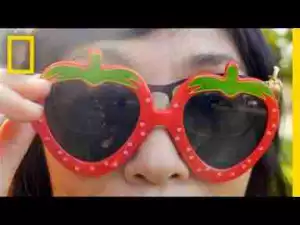 Video: A Woman in Love With Strawberries Reveals How to Be Happy | Short Film Showcase